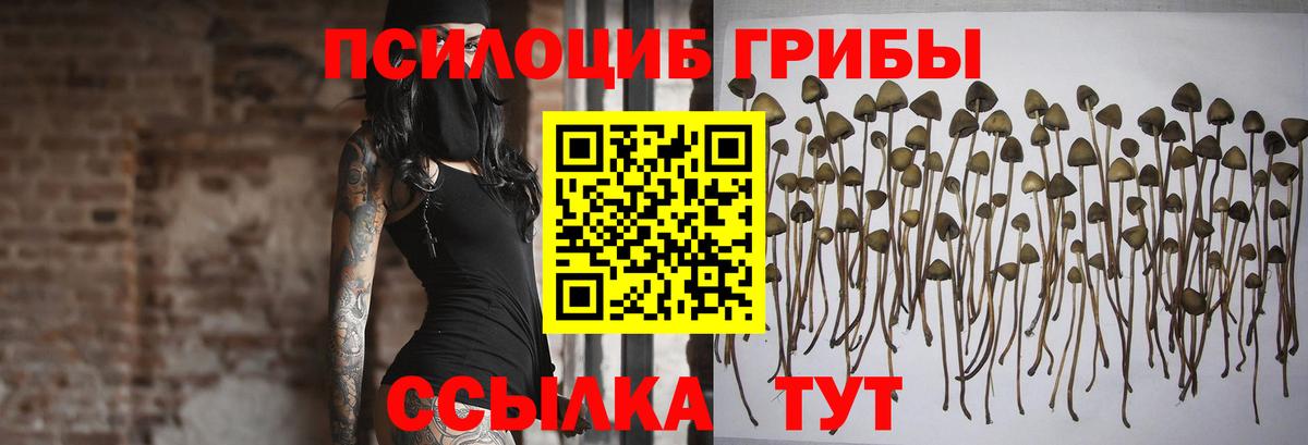 Щёлково  Псилоцибиновые грибы Psilocybe  Галлюциногенные грибы MAGIC MUSHROOMS  Вход с VPN 