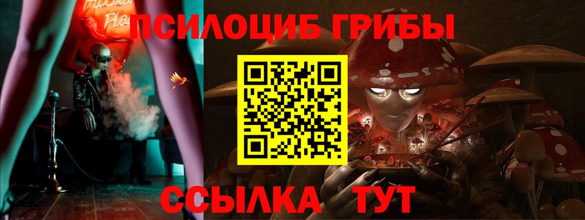 Галлюциногенные грибы Psilocybe Щёлково